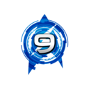 fns91.png