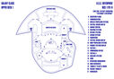 Galaxy_Class_-_USS_Enterprise_Yesterdays_Enterprise.jpg